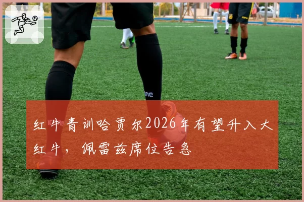 红牛青训哈贾尔2026年有望升入大红牛，佩雷兹席位告急